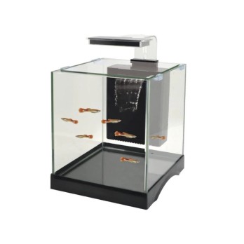 DOPHIN ΕΝΥΔΡΕΙΟ 10L KW