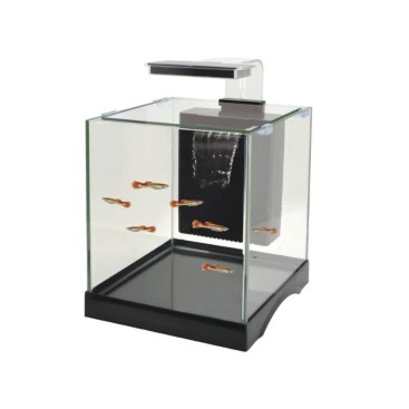 DOPHIN ΕΝΥΔΡΕΙΟ 10L KW