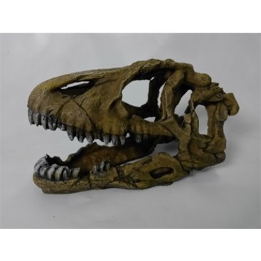 DOPHIN DINOSAUR SKULL 21CM