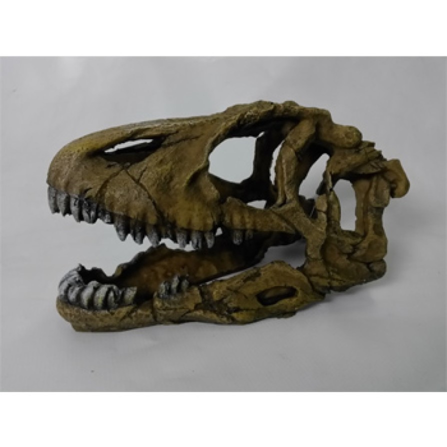 DOPHIN DINOSAUR SKULL 21CM DOPHIN
