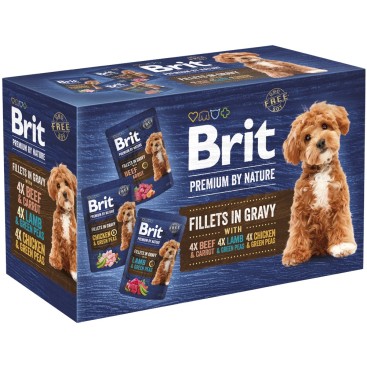 BRIT PR DOG φακ.FIL.GRAVY FAM. 1020gr
