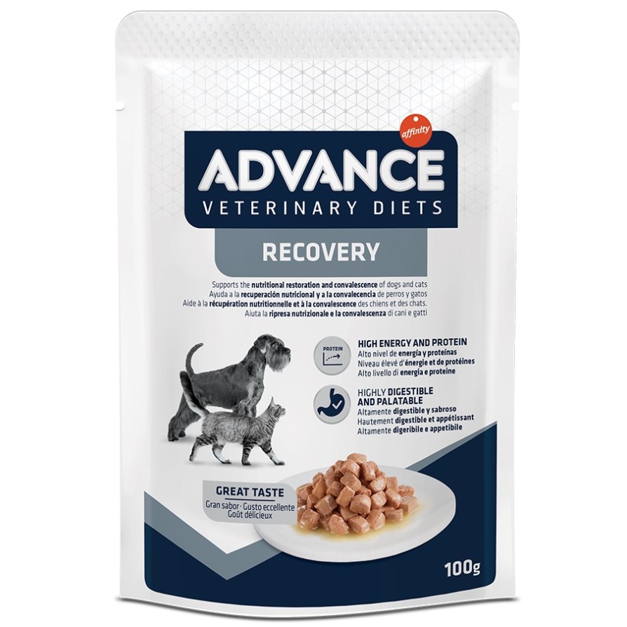 ADVANCE DIET DOG&CAT RECOVERY 100gr