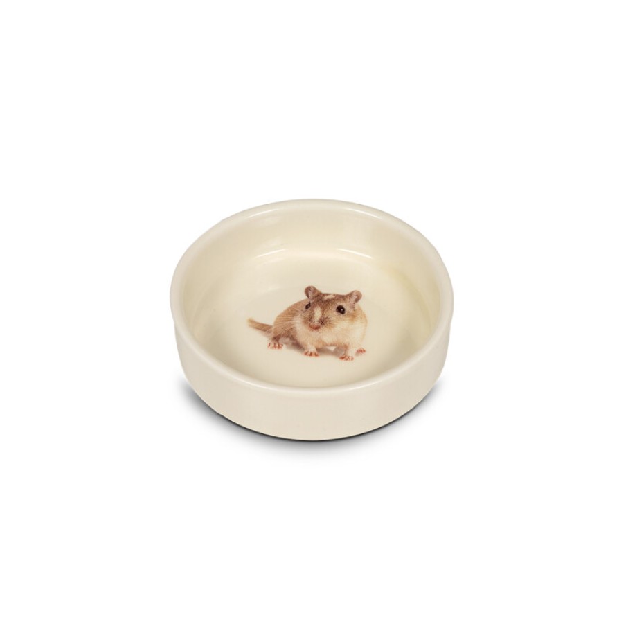 GLEE ΜΠΟΛ ΚΕΡΑΜΙΚΟ ΜΠΕΖ HAMSTER O/S - 125ml GLEE