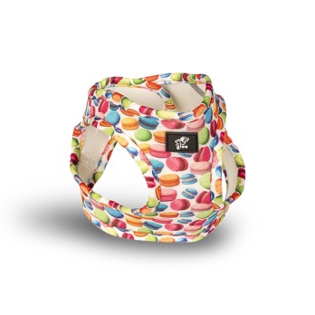 GLEE ΣΑΜΑΡΑΚΙ ΤYΠΟΥ 'Step In' MACARON S 32-36cm