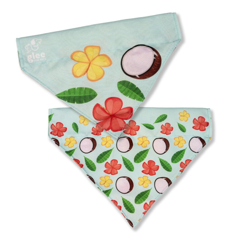 GLEE BANDANA AQUA BATIDA XS/ S 15,5cm x 13cm x 3,5cm GLEE