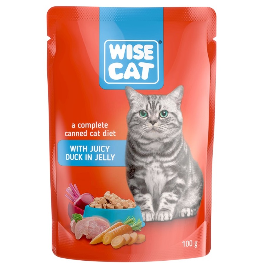 WISE CAT WITH JUICY DUCK IN JELLY 100gr