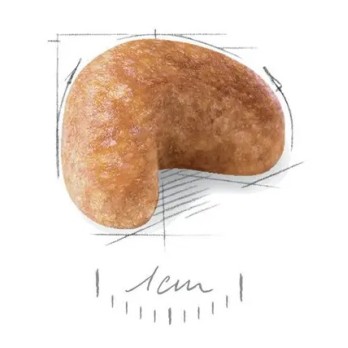 ROYAL CANIN COCKER ADULT