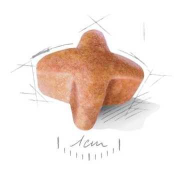 ROYAL CANIN GERMAN SHEPHERD ADULT