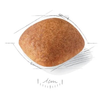 ROYAL CANIN GOLDEN RETRIEVER ADULT