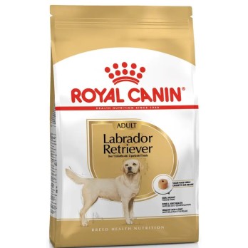 ROYAL CANIN LABRADOR RETRIEVER ADULT