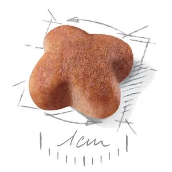 ROYAL CANIN JACK RUSSELL TERRIER ADULT 