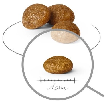 ROYAL CANIN SHN XSMALL ADULT