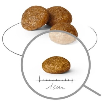 ROYAL CANIN SHN XSMALL ADULT +8 1,5KG