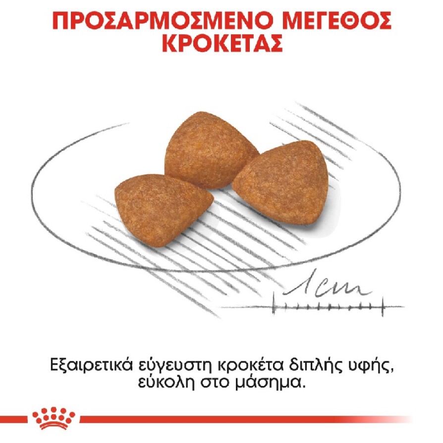 ROYAL CANIN XSMALL AGEING+12 1,5KG ROYAL CANIN
