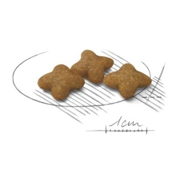 ROYAL CANIN CCN XSMALL ADULT STERILIZED 1,5KG