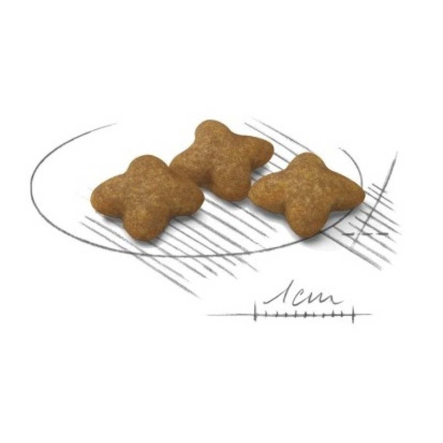 ROYAL CANIN XSMALL ADULT STERILIZED 1,5KG ROYAL CANIN