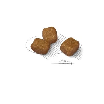ROYAL CANIN CCN MINI DENTAL CARE 3KG