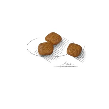 ROYAL CANIN CCN MINI URINARY CARE 3KG