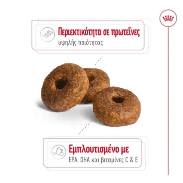 ROYAL CANIN SHN MEDIUM AGEING +10