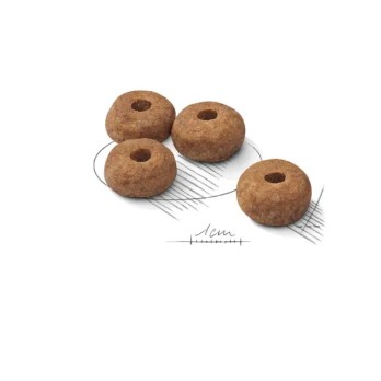 ROYAL CANIN MEDIUM STERILISED