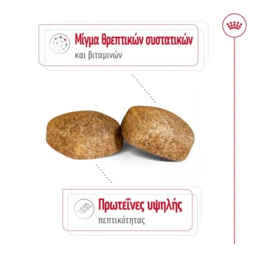 ROYAL CANIN  GIANT ADULT