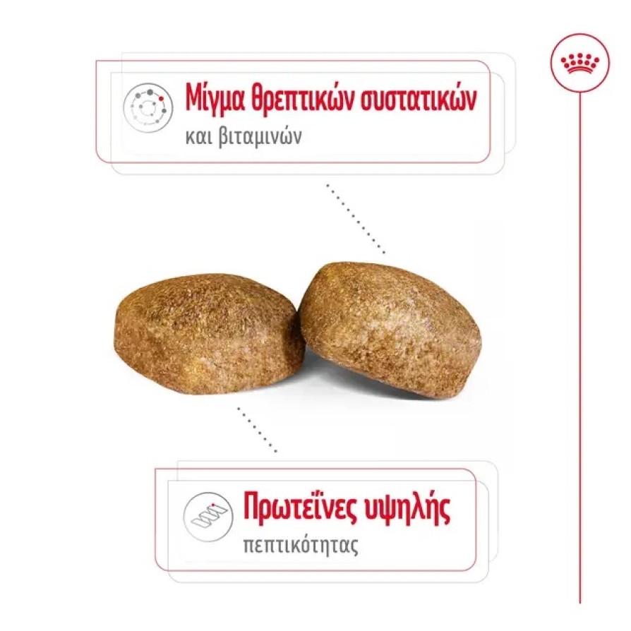 ROYAL CANIN  GIANT ADULT ROYAL CANIN