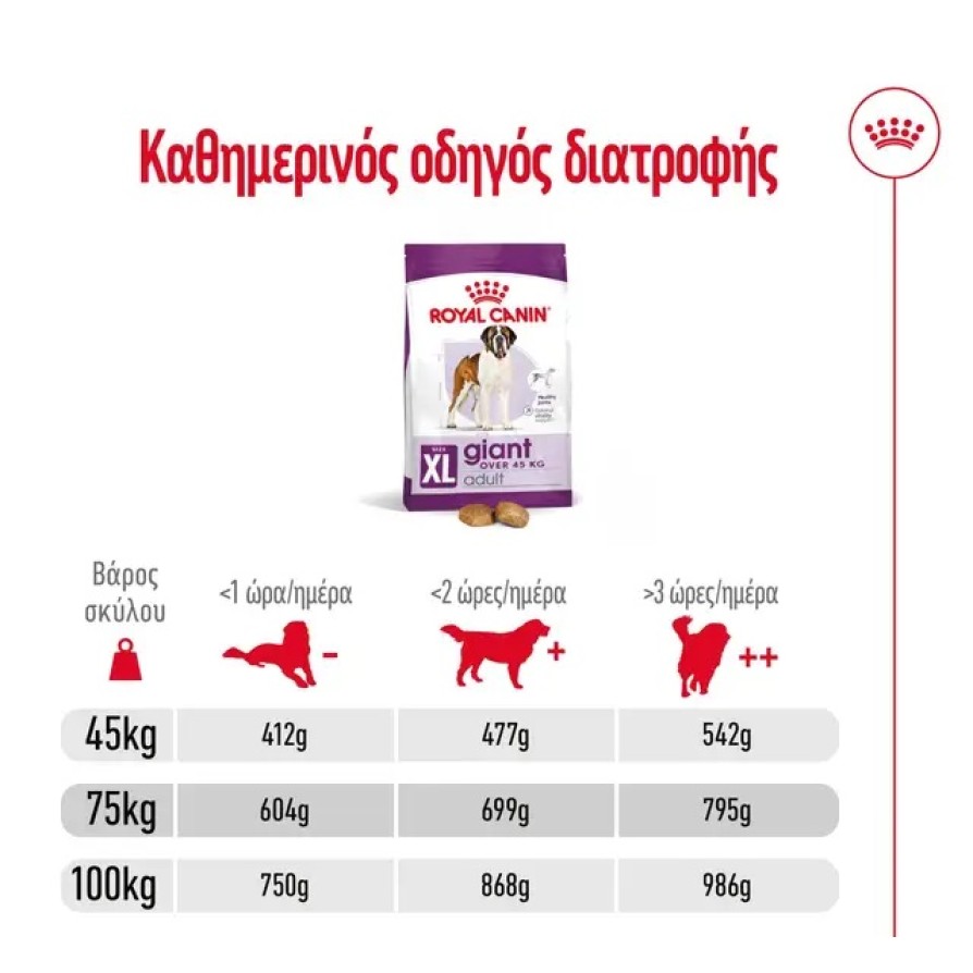 ROYAL CANIN  GIANT ADULT ROYAL CANIN