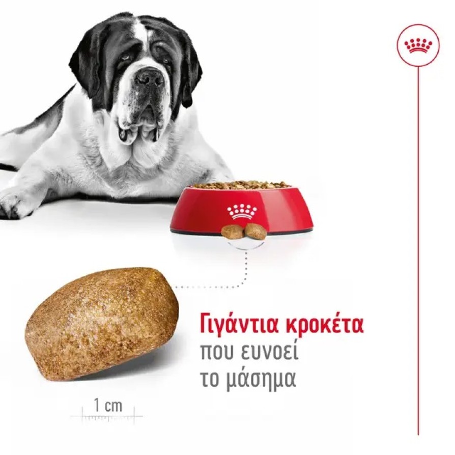 ROYAL CANIN  GIANT ADULT ROYAL CANIN