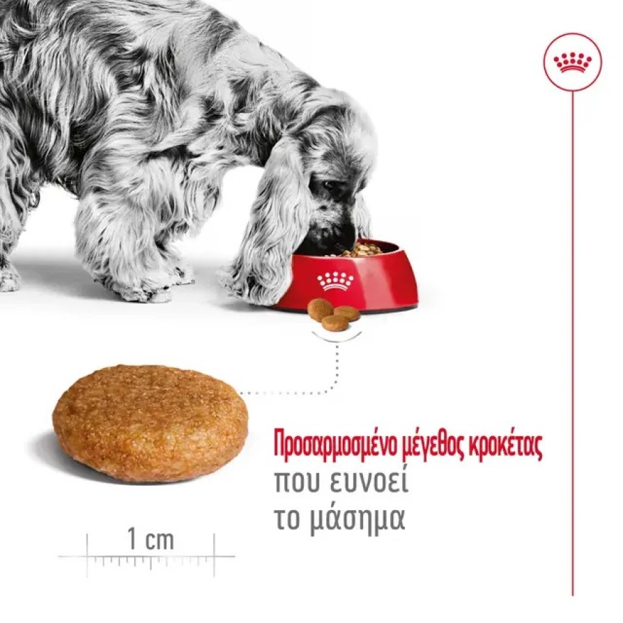 ROYAL CANIN SHN MEDIUM ADULT
