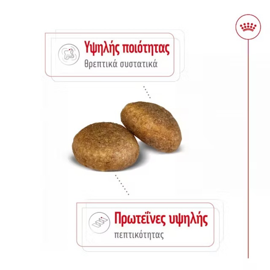 ROYAL CANIN SHN MAXI ADULT 4KG -15% ROYAL CANIN