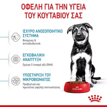 ROYAL CANIN SHN MAXI PUPPY