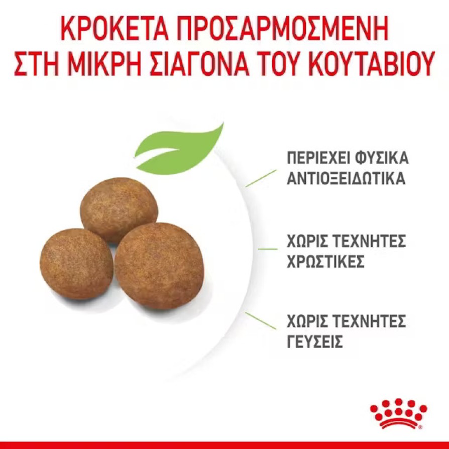 ROYAL CANIN SHN MAXI PUPPY