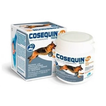 Cosequin 600/300HA 120Tabs