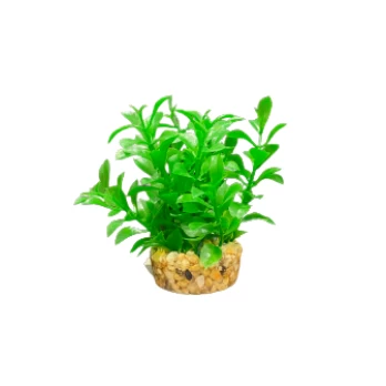 ΔΙΑΚΟΣΜΗΤΙΚΑ ΦΥΤΑ ΕΝΥΔΡΕΙΟΥ ΠΡΑΣΙΝΟ AQUARISTIC 10CM