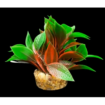 ΔΙΑΚΟΣΜΗΤΙΚΑ ΦΥΤΑ ΕΝΥΔΡΕΙΟΥ ΜΠΟΡΝΤΟ ΠΡΑΣΙΝΟ AQUARISTIC 10CM