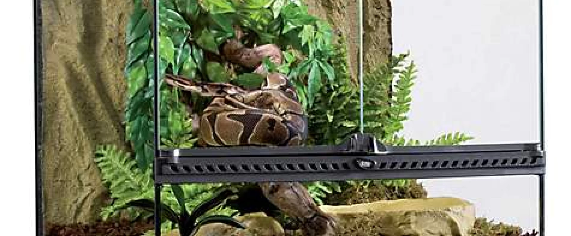 Terrarium Για Φίδια - Χελώνες & Ερπετά 