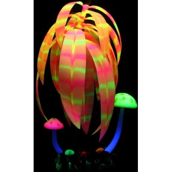 AQUA LUMO ROSE STRIPE PLANT