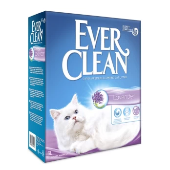 EVERCLEAN 10L