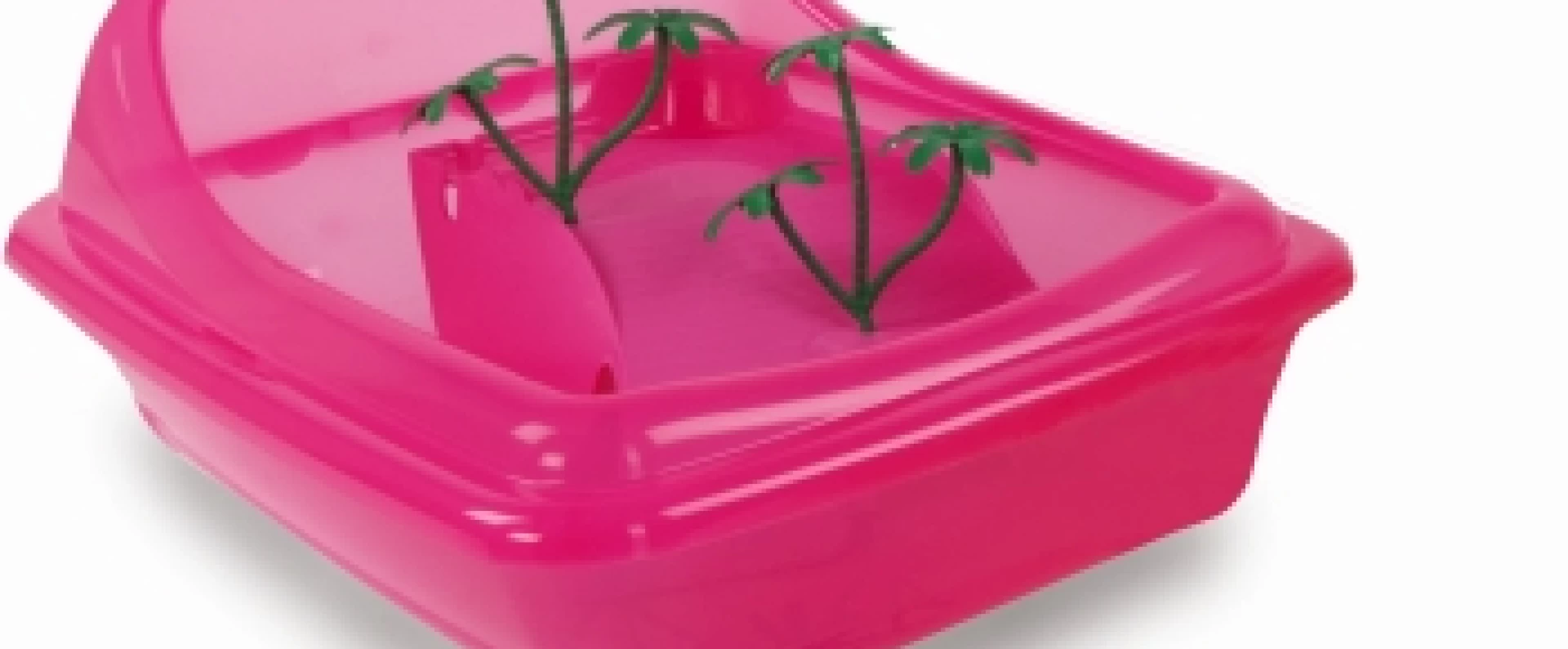 Χελωνιέρες Για Ερπετά 