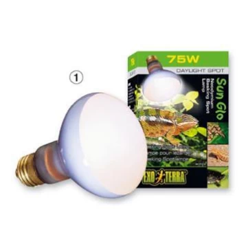 EXO TERRA Day Glo Basking Spot Lamp 75W-V