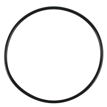 FLUVAL O-RING FOR 305/405