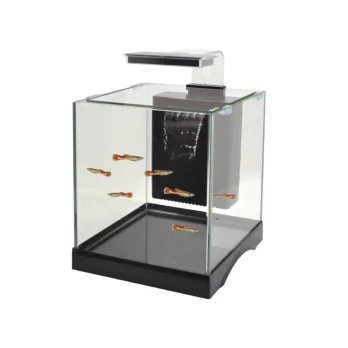 DOPHIN ΕΝΥΔΡΕΙΟ 10L KW