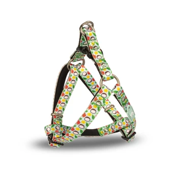 GLEE ΣΑΜΑΡΑΚΙ ΤYΠΟΥ 'A' AQUA BATIDA S 56cm-66cm