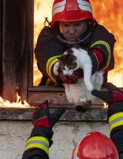 Προστασία κατοικίδιων από τις πυρκαγιές